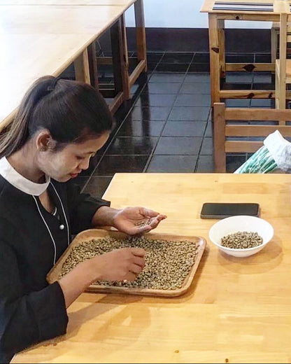 Natural 2025 Sample｜Green Coffee 200g