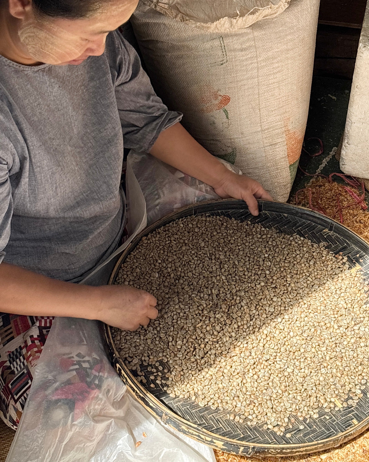 Natural 2026 Sample｜Green Coffee 200g
