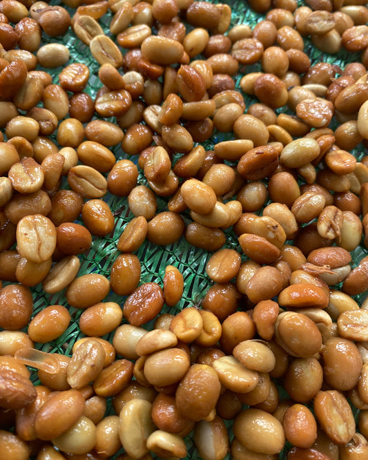 Funky Honey 2026 Sample｜Green Coffee 200g